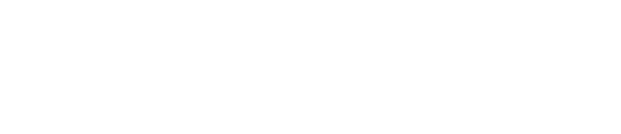 Windows 2020